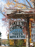 Hall's Christmas Tree Farm